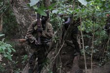 Jungle Movement